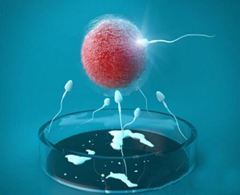实验室2